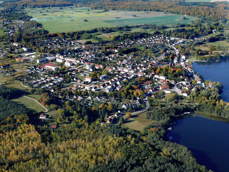 Feldberg von Wald umgeben